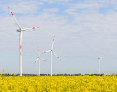 Windkraftanlagen - blühender Raps; Bilder aus Neuenfelde b. Elmshorn.