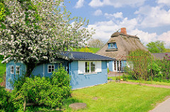 Frühlingsbilder aus Seestermühe - Reedachhaus, Wohnhaus mit blauen Fensterrahmen; Holzschuppen blau gestrichen; blauer Himmel, weisse Wolken.