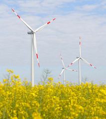 Windkraftanlagen - blühendes Rapsfeld im Frühling; Bilder aus Neuenfelde b. Elmshorn.