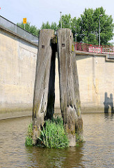 Verwitterter Holzdalben am Billehafen - dichter Grasbewuchs auf Wasserhöhe; Relikte vom alten Hamburger Hafen.