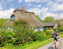 Frühlingsbilder aus Seestermühe - Reedachhaus, Wohnhaus mit blauen Fensterrahmen / Fensterluken; Radfahrer mit Rennrad - blauer Himmel, weisse Wolken.