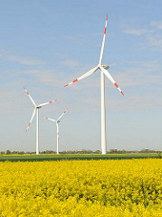 Windkraftanlagen - Rapsblüte, blauer Himmel; Fotos aus Neuenfelde b. Elmshorn.