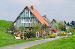 Wohnhaus am Deich in Seestermühe - weiss grüner Giebel / Hausfassade - Radfahrer auf der Deichstrasse.
