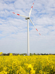 Windkraftanlage - blühender Raps; Bilder aus Neuenfelde b. Elmshorn.