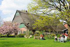 Bauernhaus mit Reet gedeckt, blühende japanische Zierkirsche - Tisch mit Gästen des Seestermüher Melkhus, Im Esch.