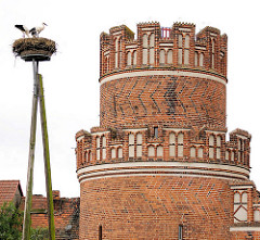 Storchennest und mittelalterlicher Turm der Stadtmauer in der Hansestadt Werben.