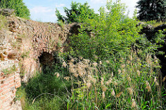 Innenansicht der Torruine des Stendaler Tors in Gardelegen - Sträucher und kleine Bäume wachsen in der Ruine.