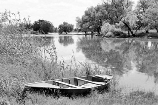 Flusslandschaft an der Havel bei Havelberg - Bäume am Wasser / Ziegeninsel; ein Holzkahn am Ufer - Schwarz weiss Fotografie.