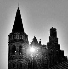 Turm und Storchennest - Tangermünder Rathaus; die Morgensonne scheint durch die spätgotische Schauwand am Ostflügel des historischen Gebäudes.
