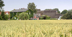Getreidefeld - Wohnhäuser am Feldesrand; Gaststätte To'n Vossbau