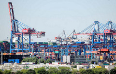 Blick über die Süderelbe zum Container Terminal Burchardkai in Hamburg Waltershof