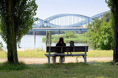 Entenwerder Elbpark in Hamburg Rothenburgsort - Ruhebank im Schatten von Bäumen; im Hintergrund die Elbbrücken über die Norderelbe.