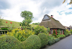 Bauerngarten mit Buchsbaumhecke - Reetdachhaus am Deich in Seestermühe.