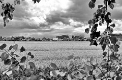 Blick über ein Kornfeld zu Wohnhäusern am Altenfeldsdeich in Sestermühe - Gewitterwolken am Himmel, Lindenblätter / Schwarz Weiss Fotografie.