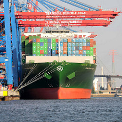 Das 368 m lange Containerschiff / Container Vessel THALASSA ELPIDA unter den Containerbrücken vom Terminal Burchardkai. Das 2014 gebaute Frachtschiff kann 13808 TEU Container transportieren.