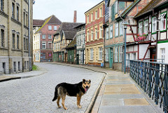 Historische Architektur an der Mühlenstrasse in Grabow - einsamer Hund auf der Strasse.