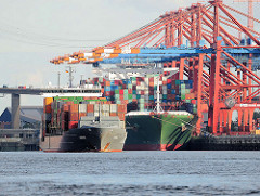 Ein Containerfeeder hat im Waltershofer Hafen abgelegt und verlässt den Hamburger Hafen - Containerschiff unter Containerkränen am Terminal Eurogate.