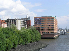 Abgeböschtes Elbufer mit Weiden beim Altonaer Holzhafen - Bürogebäude am Elbufer - Hamburgfotos aus der Altonaer Altstadt. (2003)