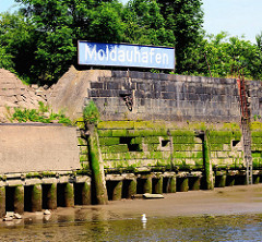 Kaimauer bei Niedrigwasser im Hamburger Hafen - der Bereich bei Hochwasser ist mit Algen bewachsen. Bei Ebbe zeigen sich die Baumstämme, die das Fundament der Kaianlage bilden. Holzdalben sind mit Gräsern bewachsen - lange Eisentreppe.