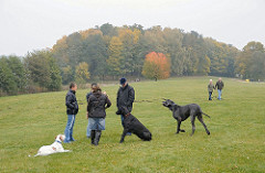 Hundebesitzer Hundeauslaufgebiet Hundeauslauf Oejendorfer Park