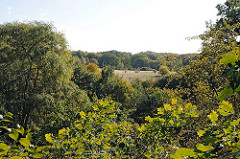 Herbstliche Bäume und Wiesen am Ufer der Alster.