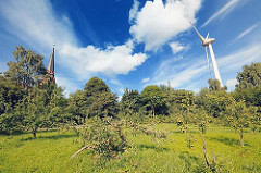 Wiese mit Apfelbäumen im Hamburger Stadtteil Altenwerder - Kirchturm der St. Gertrudkirche; Windrad, 198m hoch - WIndkraftanlagen in Hamburg.