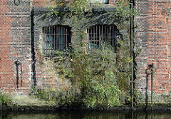 Gebäude der Harburger Mühlenbetriebe vor der Restaurierung - Pflanzen und Bäume wachsen aus dem Mauerwerk. ( 2007 )