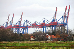 Wiesen und Wohnhäuser von Hamburg Moorburg - Containerbrücken vom Terminal Altenwerder.