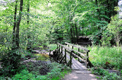 Lauf vom Bach Bredenbek in Hamburg Bergstedt. Eine Holzbrücke führt über den Flusslauf.