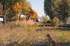 Stillgelegte Gleisanlagen - überwaschsene Gleise Bahnanlage in der Liebigstrasse von HH-Billbrook.