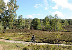 Wanderwege im 773 Hektar großen Naturschutzgebiet Fischbeker Heide. Ein Fahrradfahrter fährt auf dem Sandweg durch das Heidegebiet.