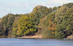 Bäume im Herbst am Ufer des Kupferteichs von Hamburg Lemsahl - Mellingstedt.