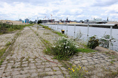 Pflastersteine am Petersenkai - blühendes Wildkraut, Schienen der Hafenbahn - Blick über den Baakenhafen zu den Baustellen in der Hamburger Hafencity.