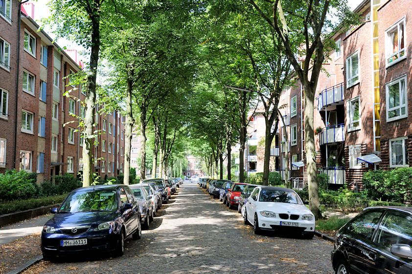 bildarchiv-hamburg.com: Foto „Wohnstrasse in HH-Hamm; Lindenbäume als Allee / Strassenbäume ...