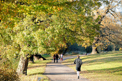 Spaziergang im Park - Bilder aus Hamburger Grünanlagen; Weg unter Herbstbäumen im Jenischpark in HH-Othmarschen.