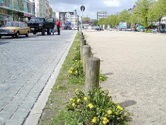 Löwenzahn blüht auf dem Spielbudenplatz - Sandplatz an der Reeperbahn von Hamburg St. Pauli vor dem Umbau (2002