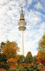 Hamburger Telemichel / Fernsehturm - Sträucher mit roten und gelben Herbstblättern in Planten un Blomen - Bilder aus den Hamburger STadtteilen.