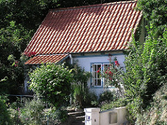 Bilder aus Hamburg Blankenese Wohnhaus im Treppenviertel Vorgarten mit Rosen.