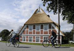 Elbdeich mit Radfahrer und historisches reetgedecktes Fachwerkgebäude