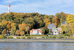 Elbufer im Herbst - Elbhang mit Herbstbäumen - Wohnhäuser am Elbufer - Oberfeuer, Leuchtturm zwischen den Bäumen. Herstsonne an der Elbe, blauer Himmel.