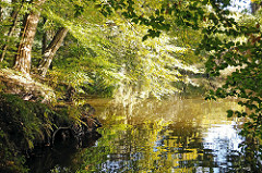 Lauf des Flusses Alster - tiefhängende Zweige über dem Flusslauf - Blätter spiegeln sich im Alsterwasser.