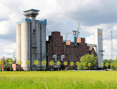 Reiherstieg - Silogebäude in Hamburg Wilhelmsburg - Wiese mit Bäumen.