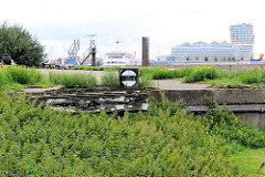 Alte Gleisanlage mit Prellbock - Wildkraut hat die Gleise der Güterbahn überwuchert - im Hintergrund ein Kreuzfahrtschiff am Hafencitykreuzfahrtterminal und das Unilevergebäude und Wohnhochhaus.