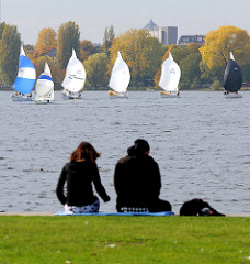 Alsterufer in Hamburg Hohenfelde - Segelboote auf der Aussenalster - Herbstbäume am Alsterufer.