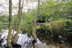 Bäume im Wasser - Raakmoorteich am Rande des Naturschutzgebiets in Hamburg Hummelsbüttel.