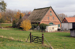 Bauernhof mit Strohdachhaus und Scheune  / Wiese mit Gatter.
