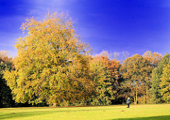 Goldener Herbst - Bäume in Herbstfärbung - Spaziergänger auf einer Wiese im Jenischpark im Hamburger Stadtteil Othmarschen.