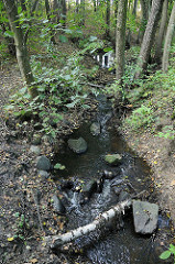 Bachlauf der Mellingbek fliesst durch einen Wald in Hamburg Lemsahl Mellingstedt.