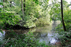 Grünanlage mit Teich - Bäume am Wasserrand - Bilder aus Hamburg Rönneburg.