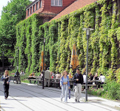 Gelände der Hamburger Universität - Hausfassade mit Efeu bewachsen. Tische in der Sonne.